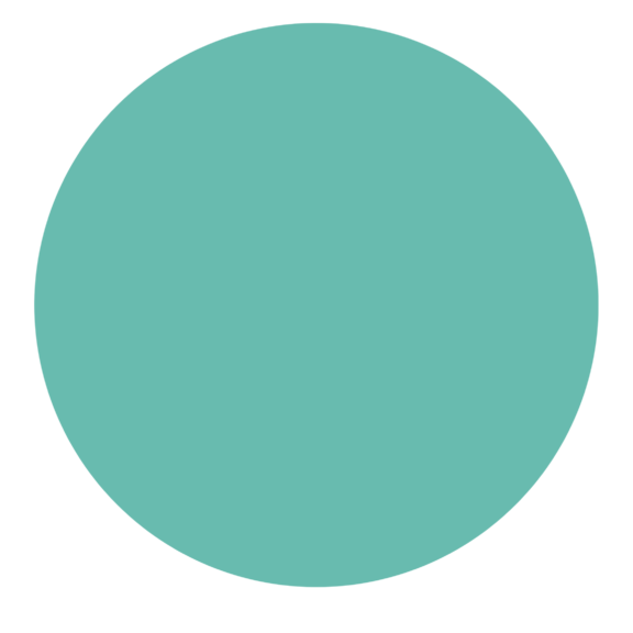 Grön cirkel som symboliserar secureappbox kundtjänst
