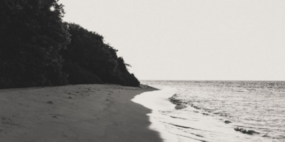 hav och en strand med träd bakom stranden i svart och vit färg